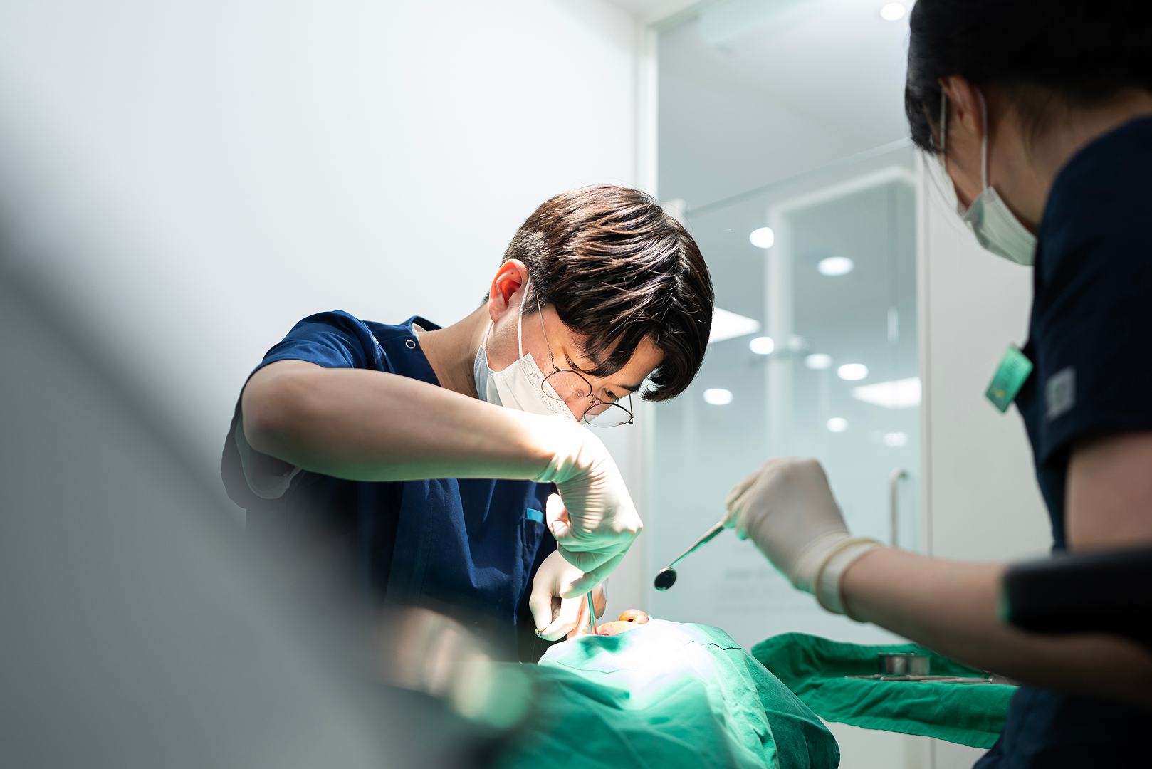 자연을 닮은<br> 치과 진료